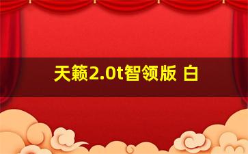 天籁2.0t智领版 白